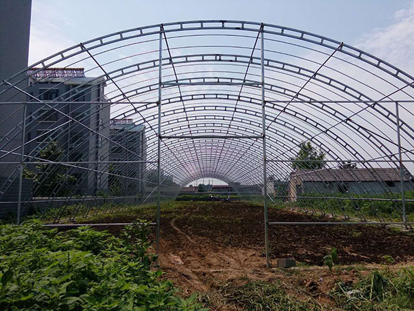 觀光大棚 觀光大棚